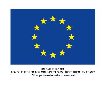 logo unione europea