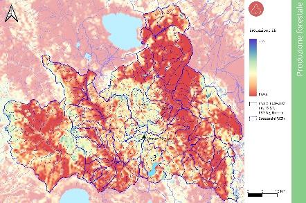 PRODUZIONE FORESTALE